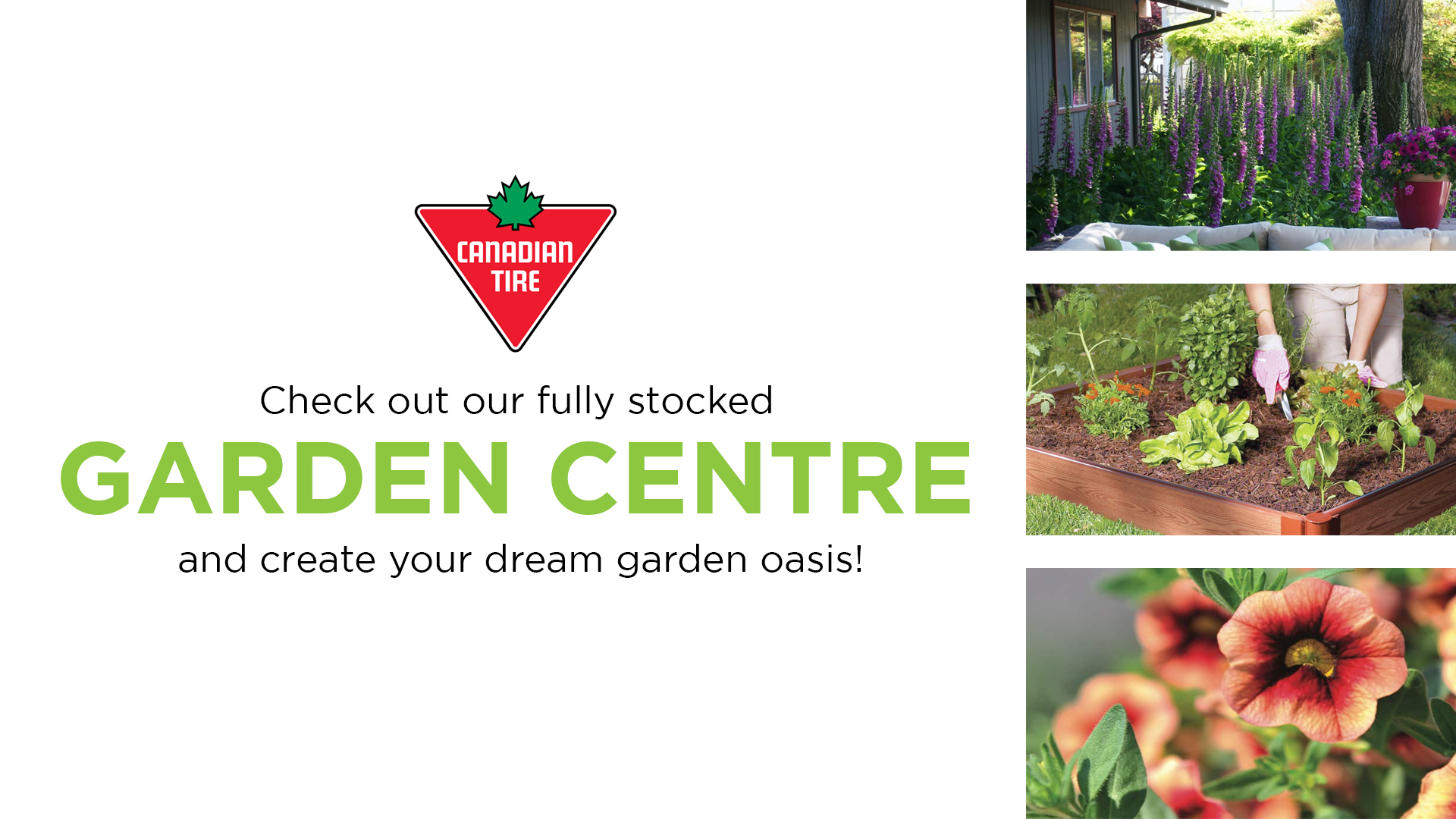 Canadian Tire Digital Signage Content