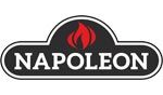 Napoleon logo: black and white with a red flame icon.