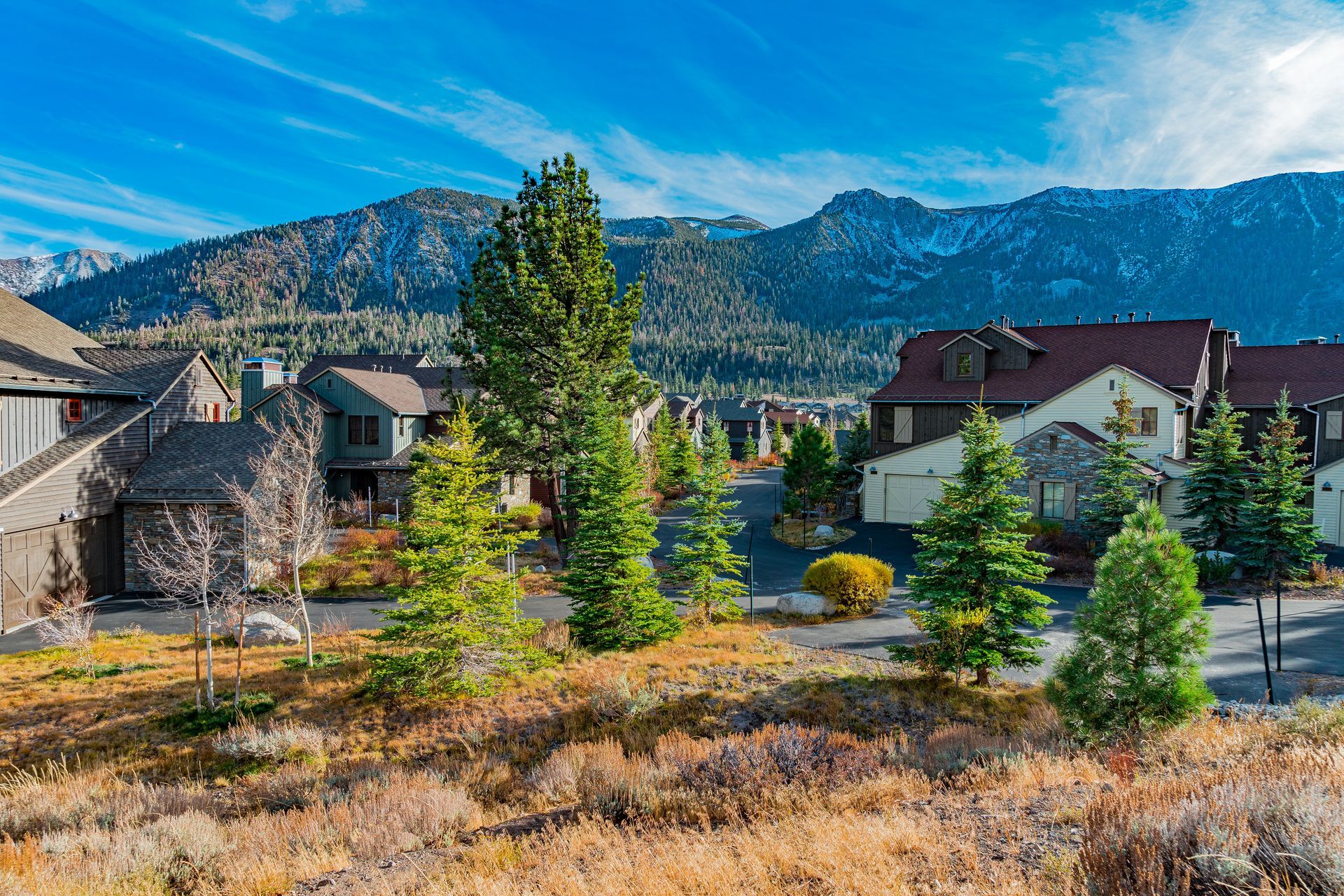 Mountain resort homes with pine trees and dry grass, backed by blue mountains under a bright sky