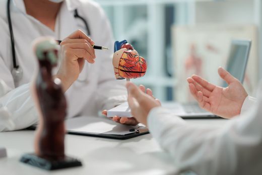 Doctor examining a model heart while speaking with a patient in a clinic office