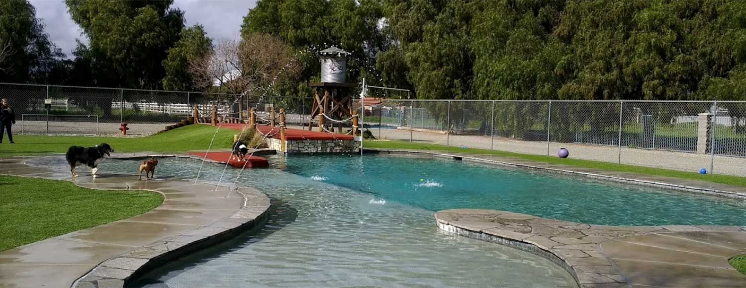 Backyard pool with a water slide, lawn chairs, and a fenced grassy yard on a sunny day