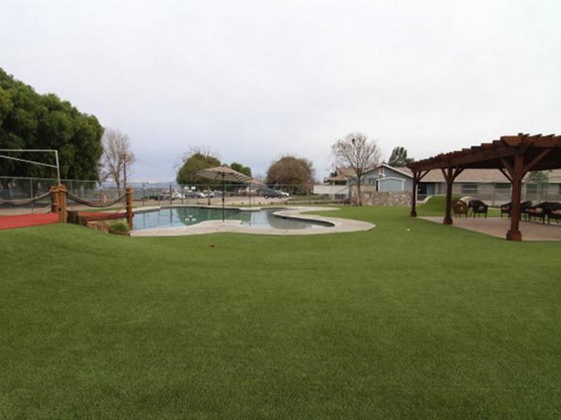 Outdoor lawn with a small pool, trees, and a wooden pergola in a park-like setting
