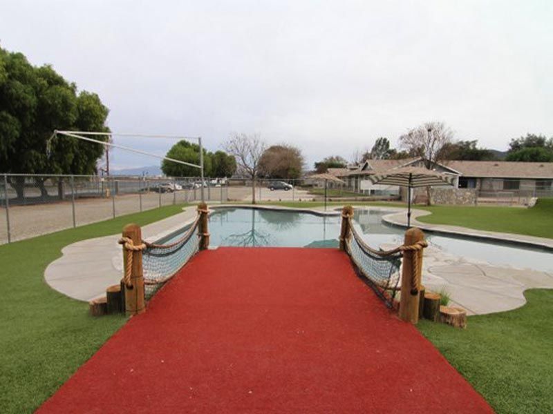 Red carpet path leading to a small outdoor pool with rope railings in a park-like setting