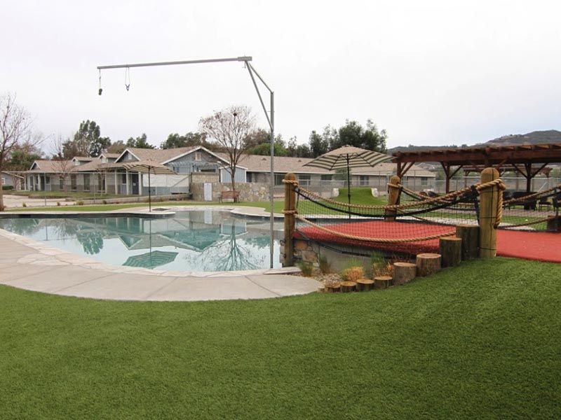 Backyard pool with red bridge, green lawn, and houses in the background