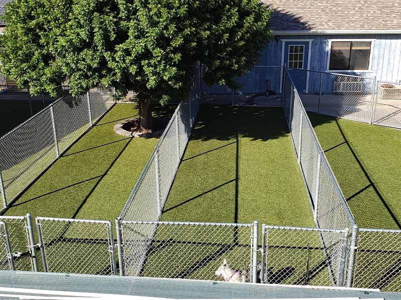 Empty indoor kennel room with gray dog crates, tiled floor, and windows along the left wall Empty indoor kennel room with gray dog crates, tiled floor, and windows along the left wall