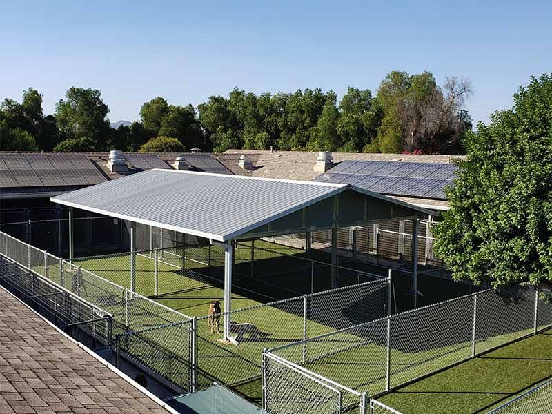 Outdoor fenced kennel with shaded concrete pens and solar-paneled roofs surrounded by trees