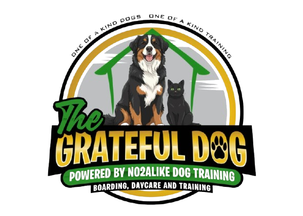 The Grateful Dog Pet Boarding