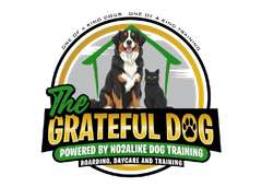 Logo: Dog and cat, green and gold frame, text "The Grateful Dog" with "Boarding, Daycare, and Training".