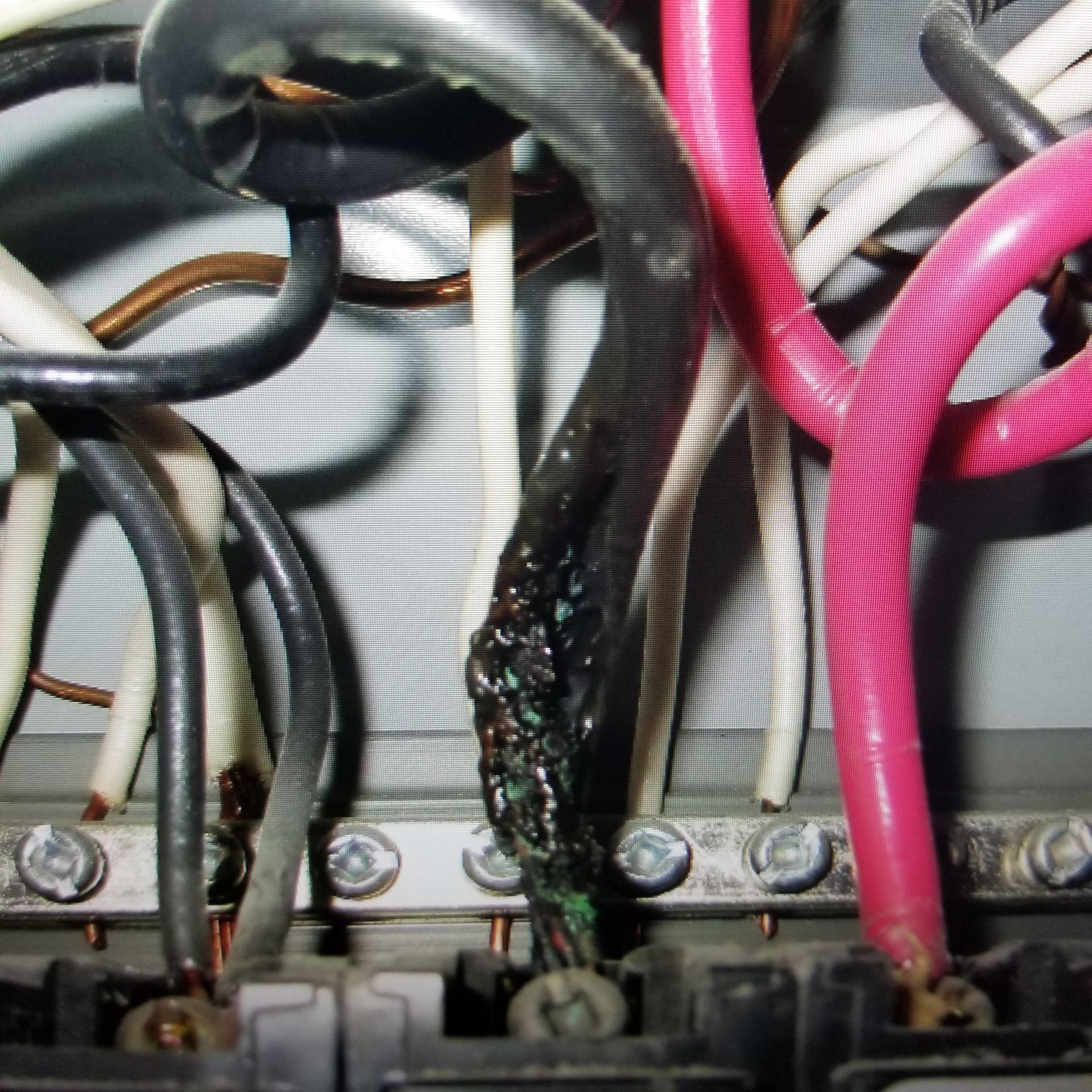 A damaged, melted black electrical wire with exposed copper in an electrical panel, near other wires and a terminal bar.
