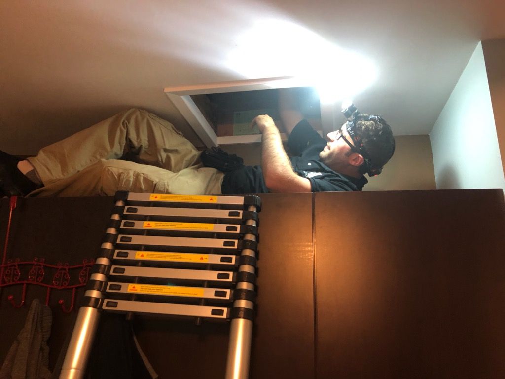 A person wearing a headlamp leans into an open ceiling attic hatch while standing on an extended metal ladder.