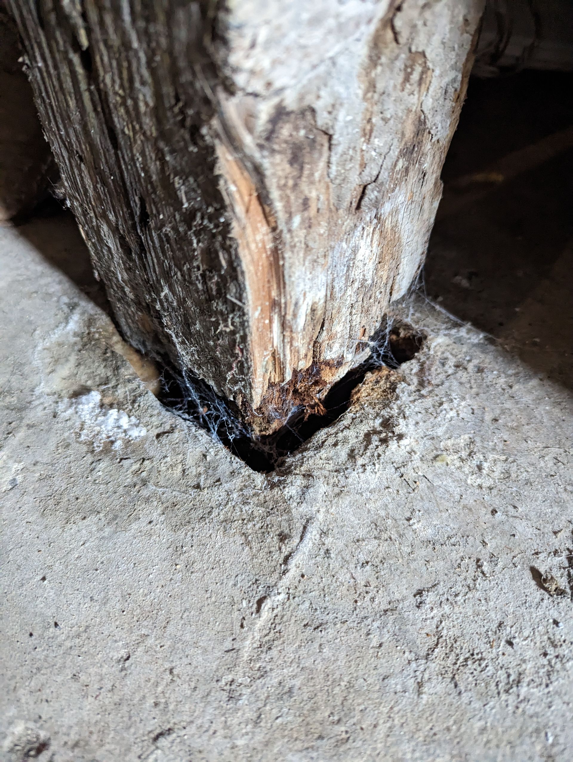 A wooden post resting on a concrete floor with visible wood rot and a gap where the post meets the base.