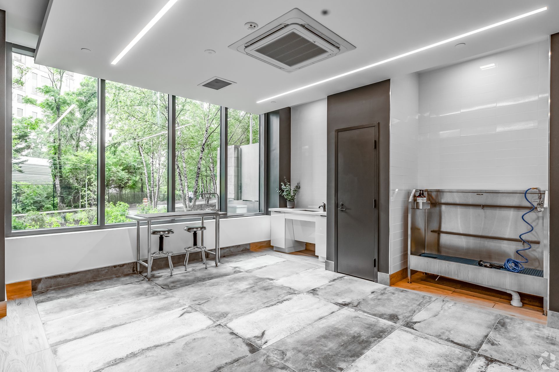 A large room with a lot of windows and a rug on the floor.