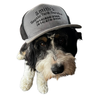 septic pump truck dog