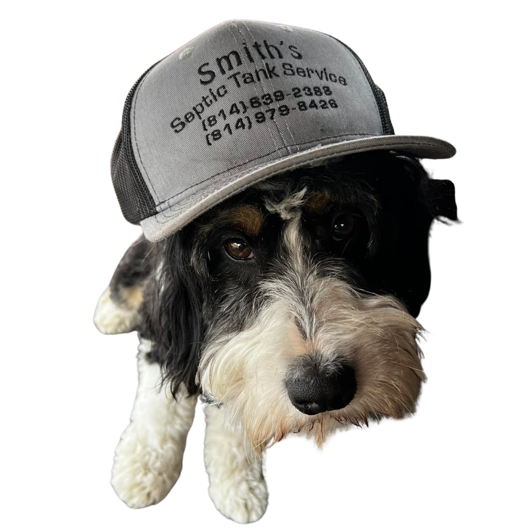 septic pump truck dog