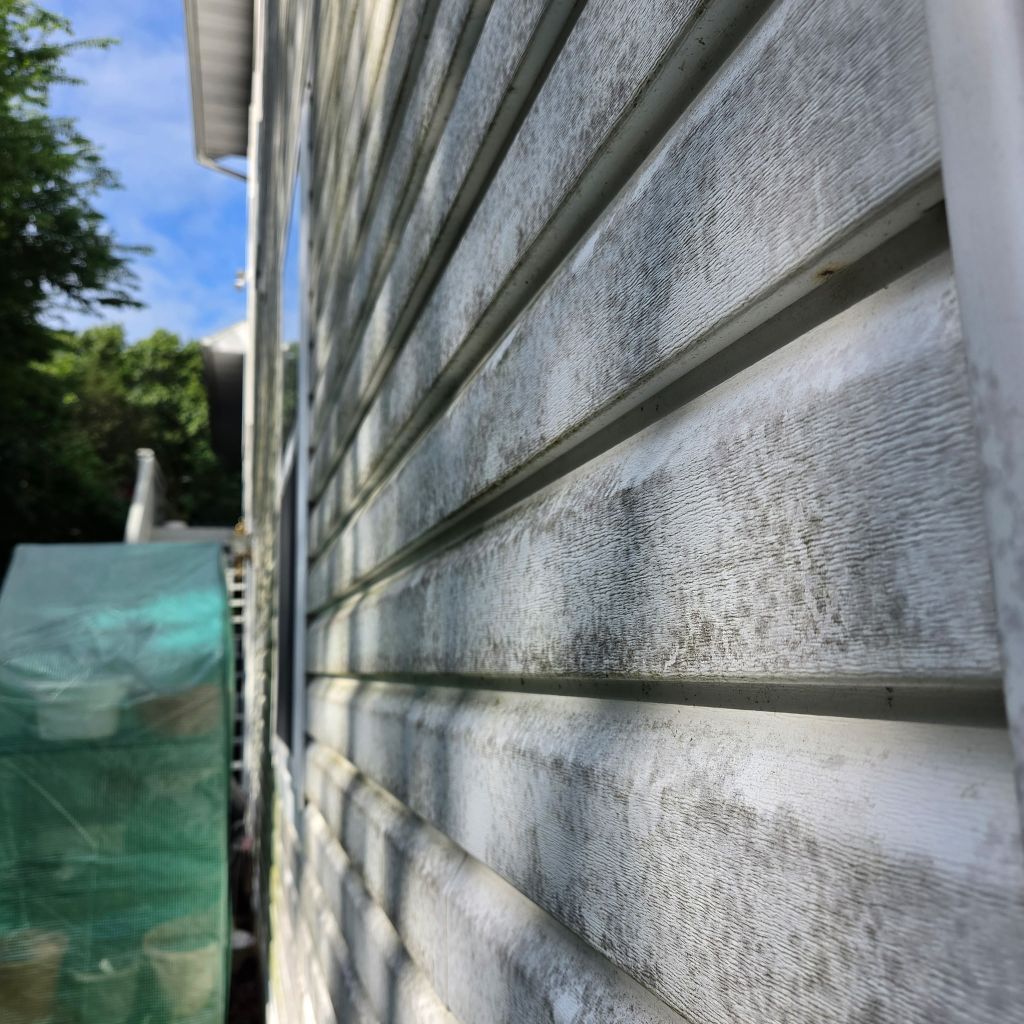 White house siding with green mildew staining above a stone foundation beside a lawn