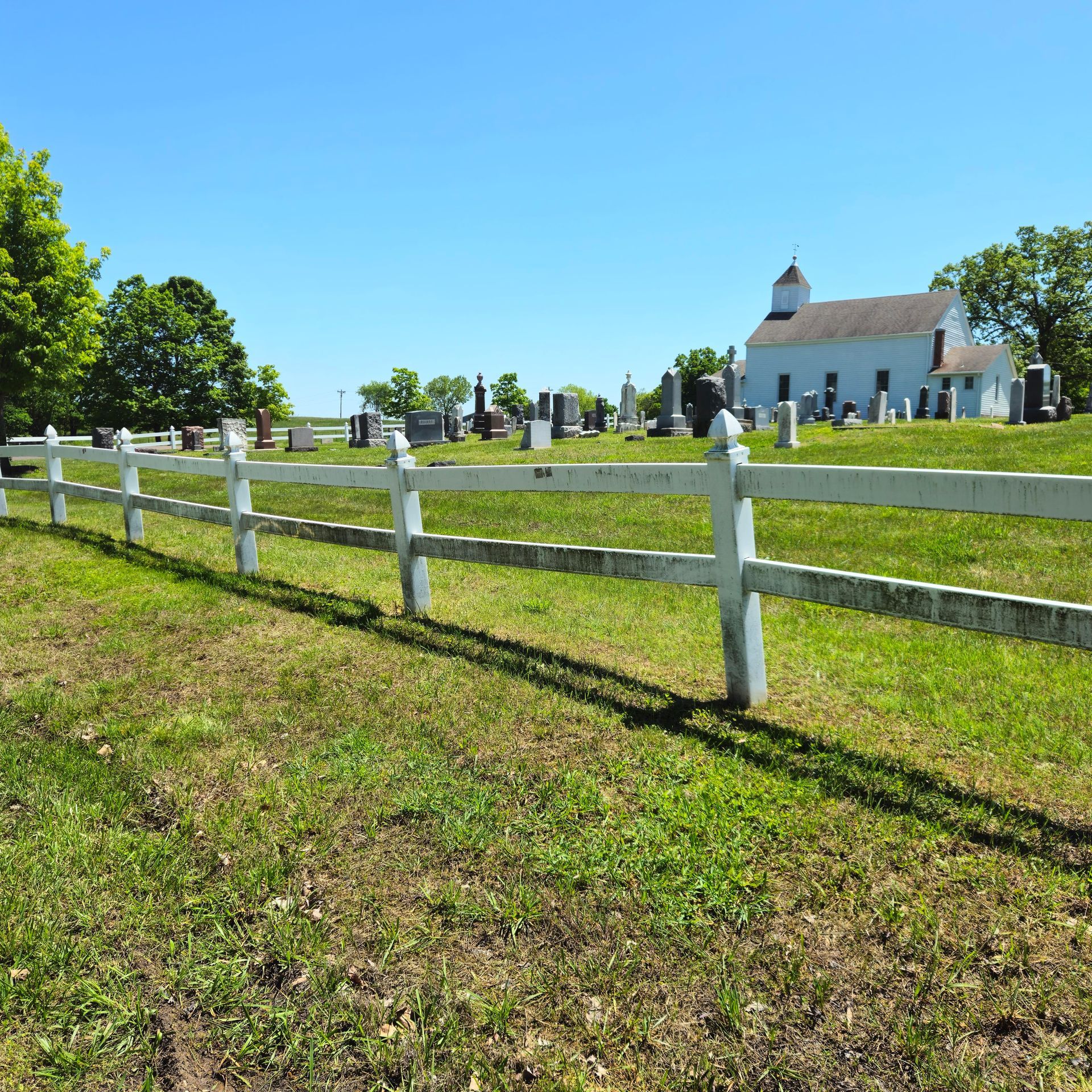 White house siding with heavy green mildew and weather staining on the side wall under a blue sky