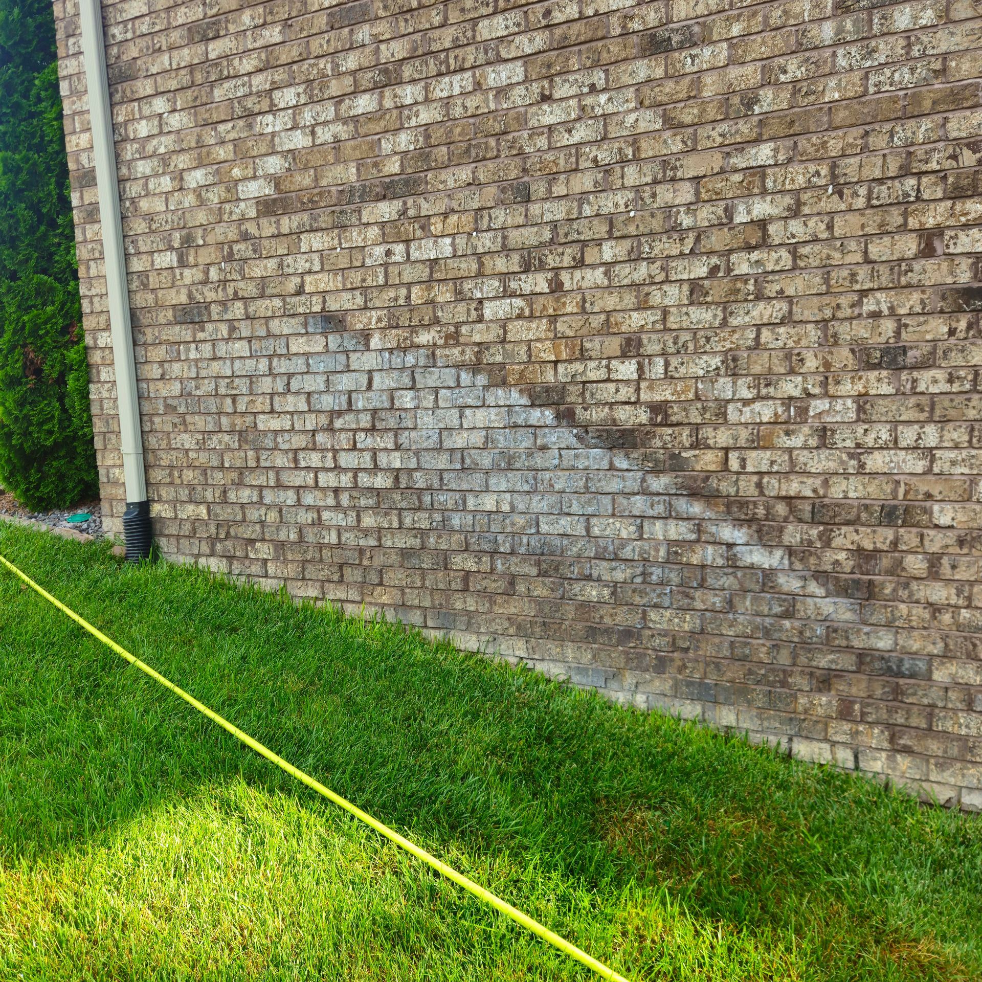White house siding with green mildew staining above a stone foundation beside a lawn