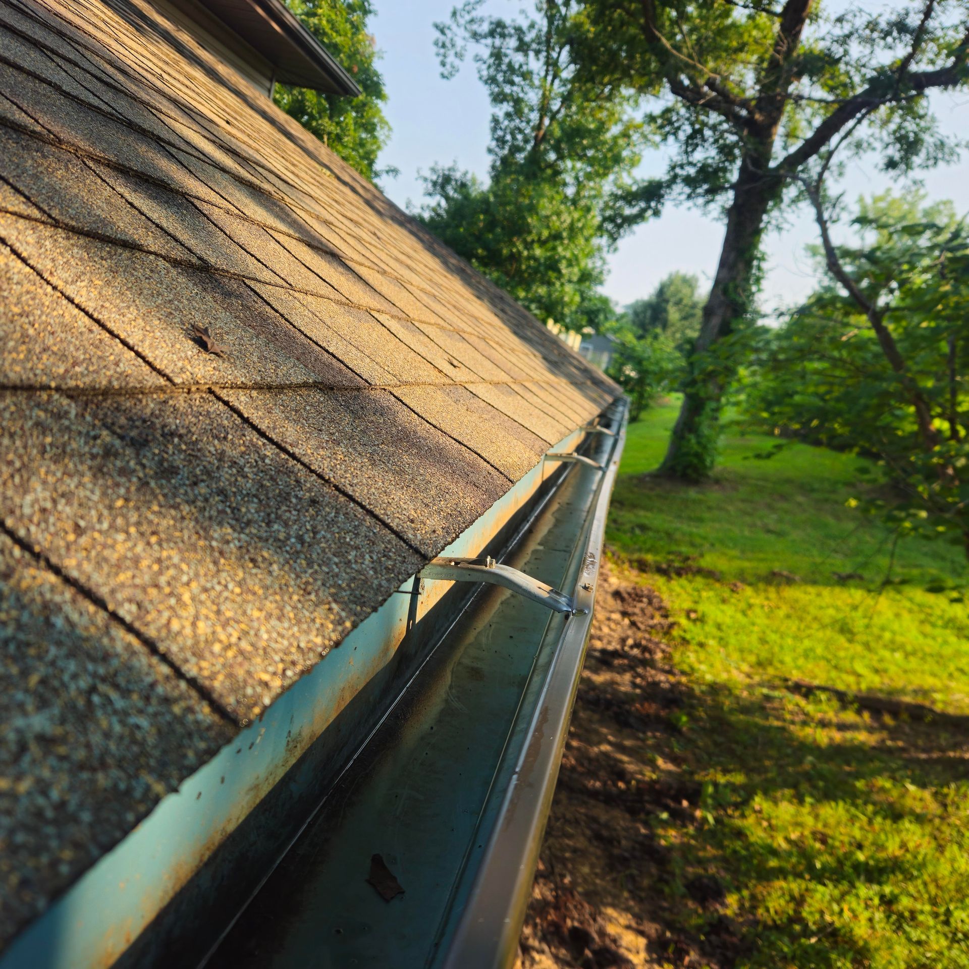 Close-up of a sloped shingle roof and gutter beside a green yard and trees in sunlight