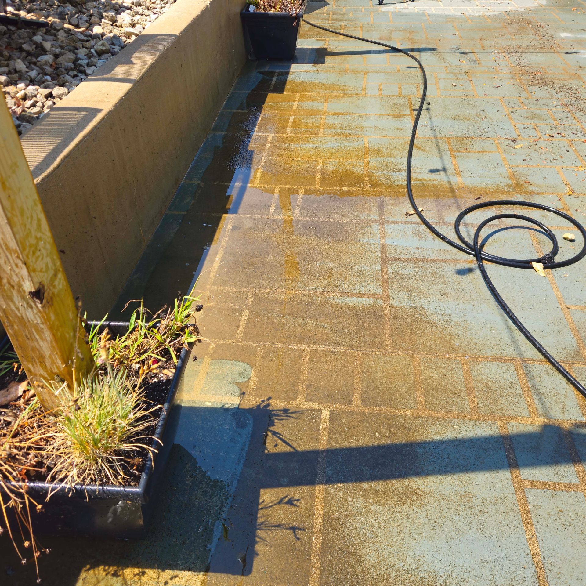 White house siding with green mildew staining above a stone foundation beside a lawn