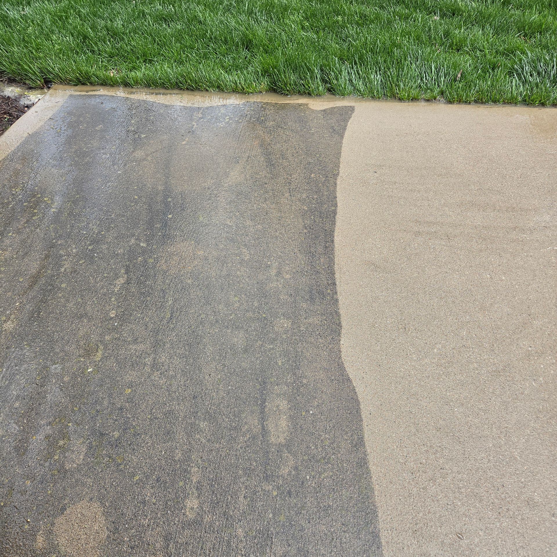 Concrete walkway with a dark wet patch beside a green grassy lawn