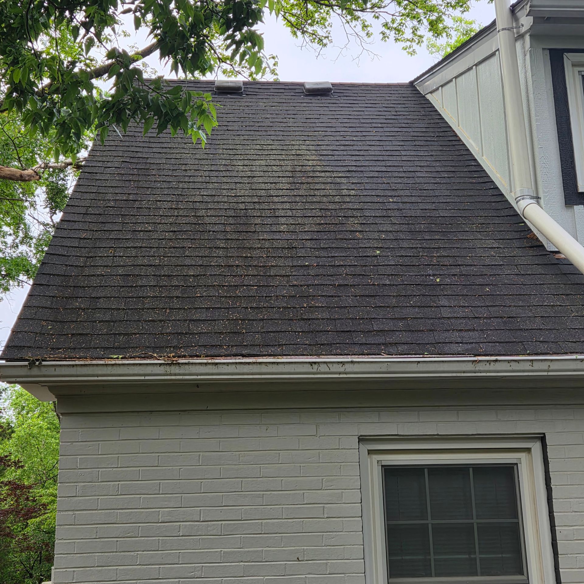 Dark shingled roof over a white brick house with a window, framed by trees and another house.