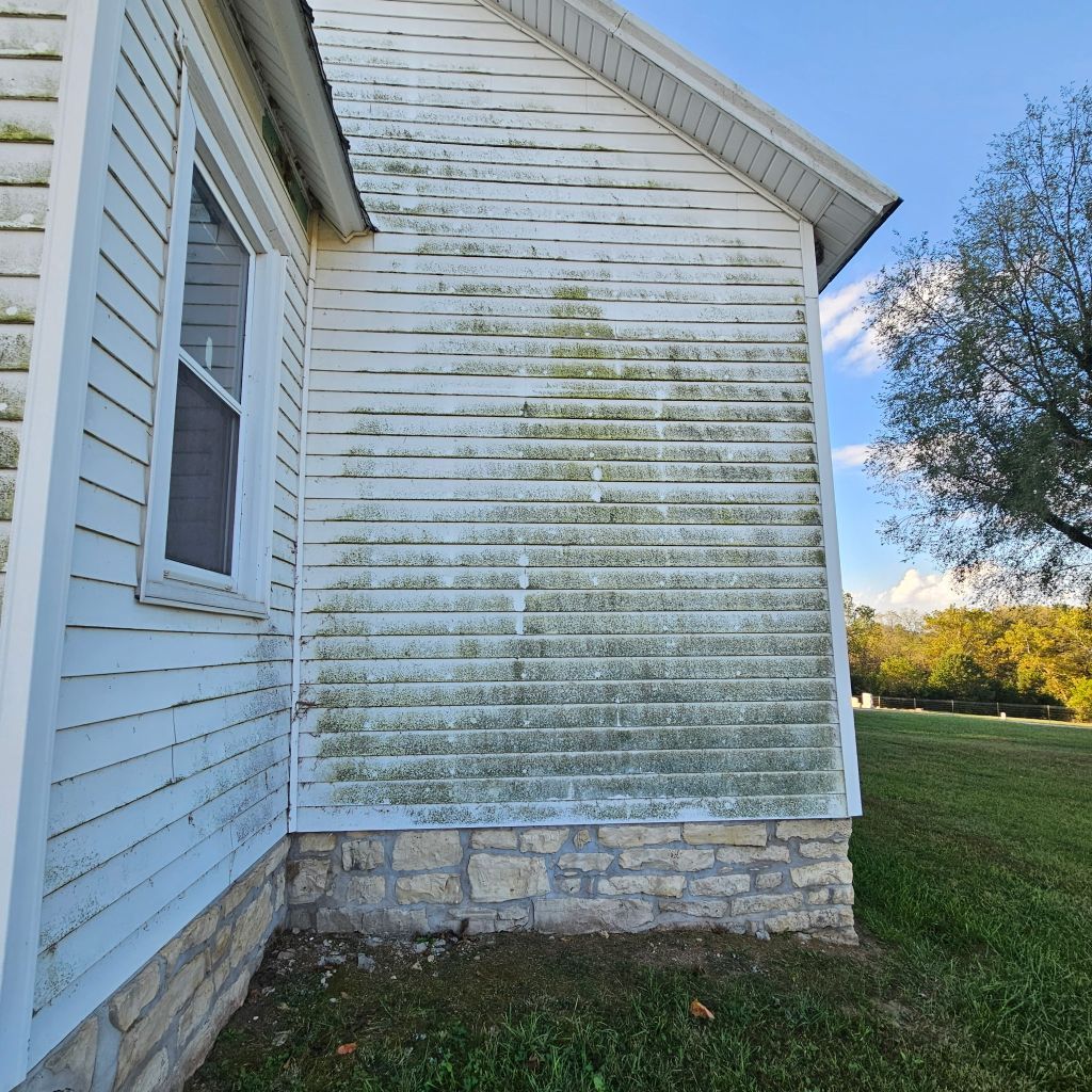 White house siding with green mildew staining above a stone foundation beside a lawn