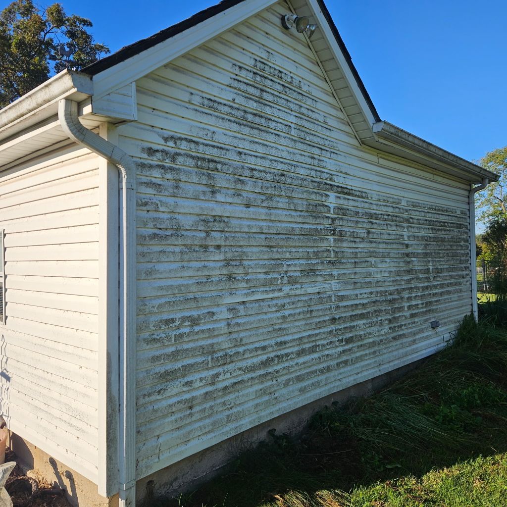 White house siding with heavy green mildew and weather staining on the side wall under a blue sky