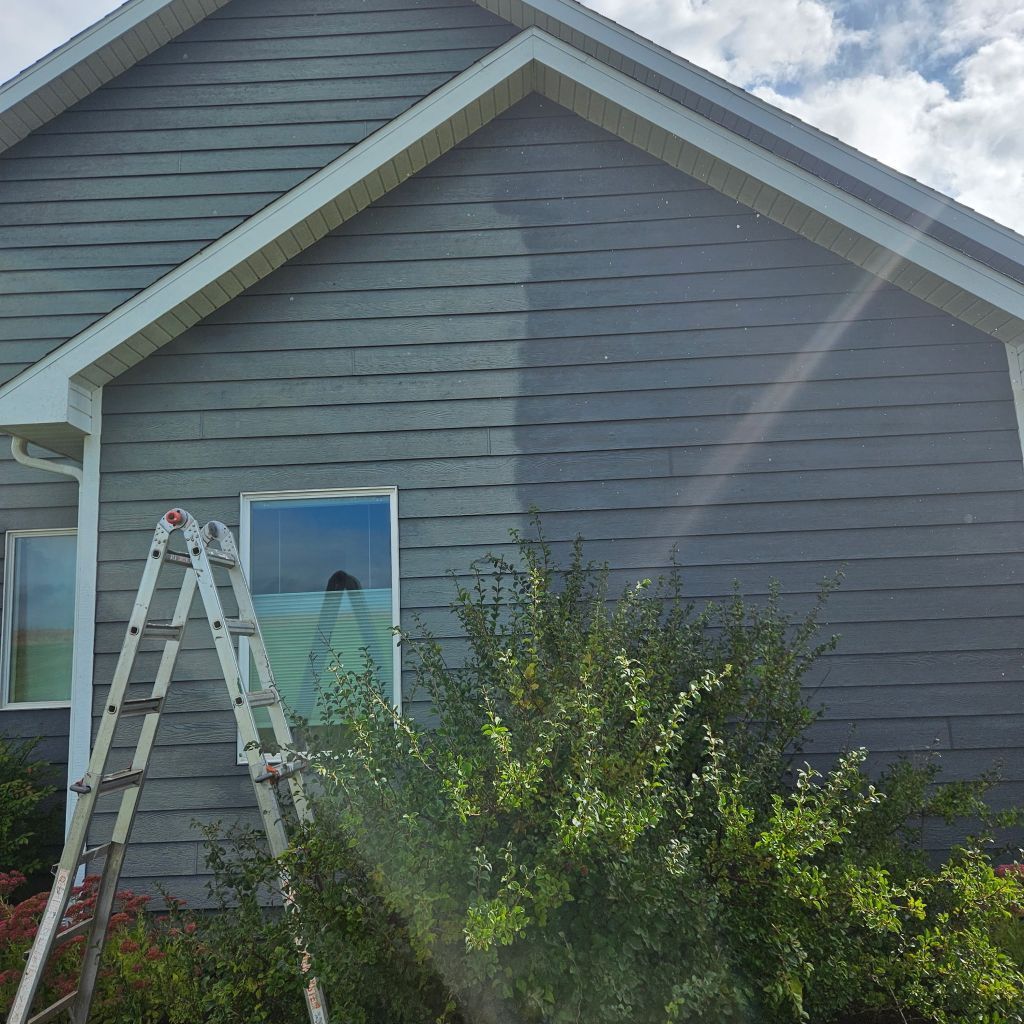 Gray house exterior with a ladder by a window and bushes in front, sun flare at right.