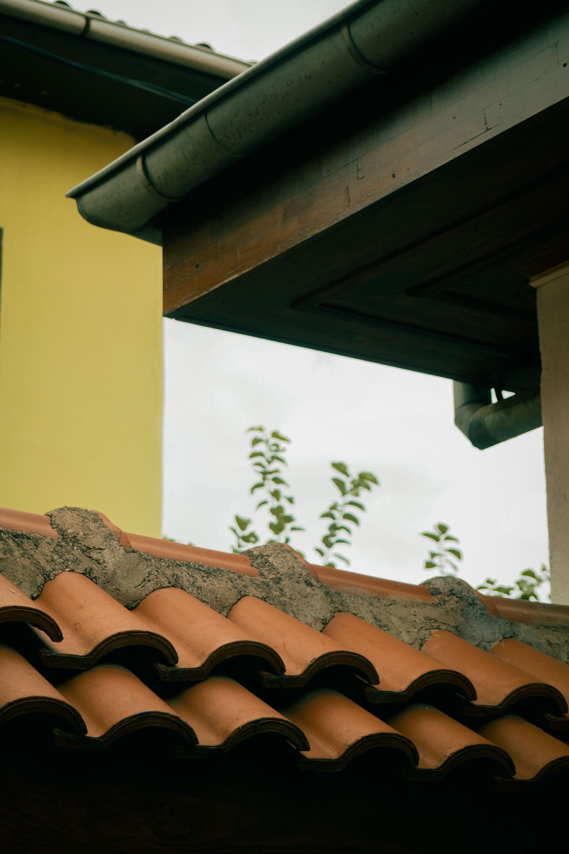 Tile roof and yellow house wall beneath dark green eaves, with a cloudy sky and small tree branches visible