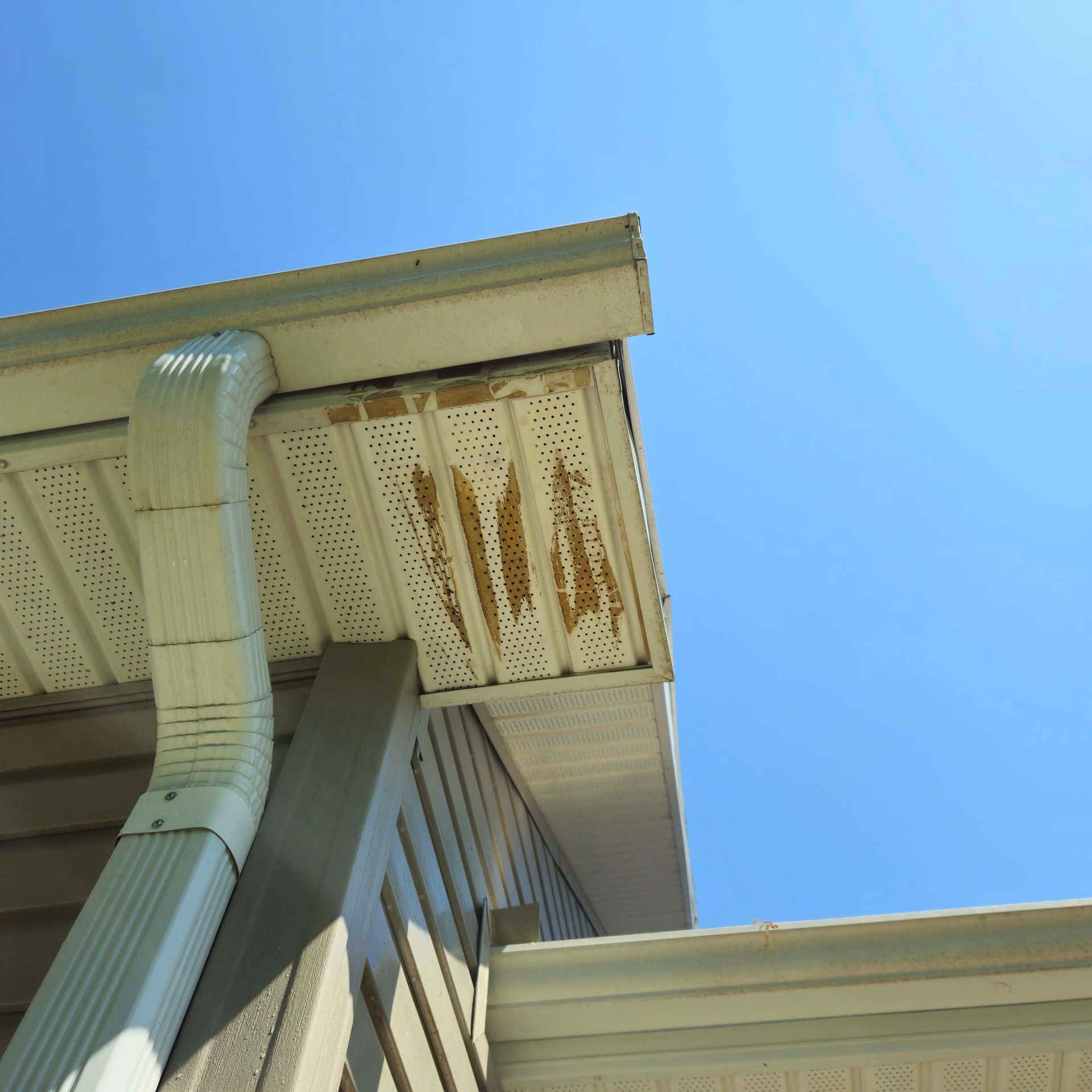 White house siding with green mildew staining above a stone foundation beside a lawn