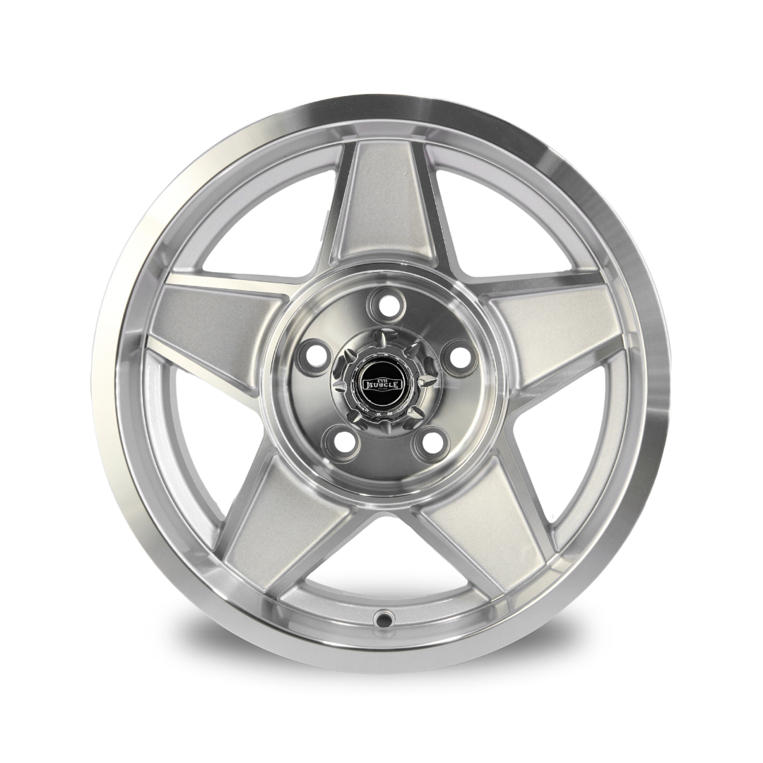Wheels for Valiant R&S, VC-VG, AP5, AP6 | CTM Muscle