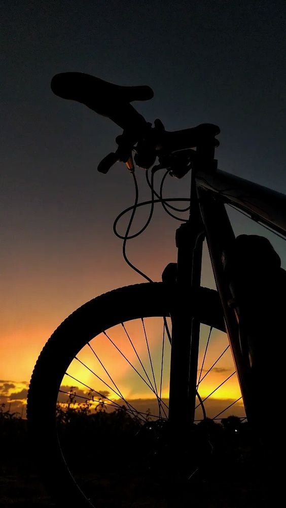 Pneugel has  developed a preventive anti-puncture and repair gel for bikes tires.