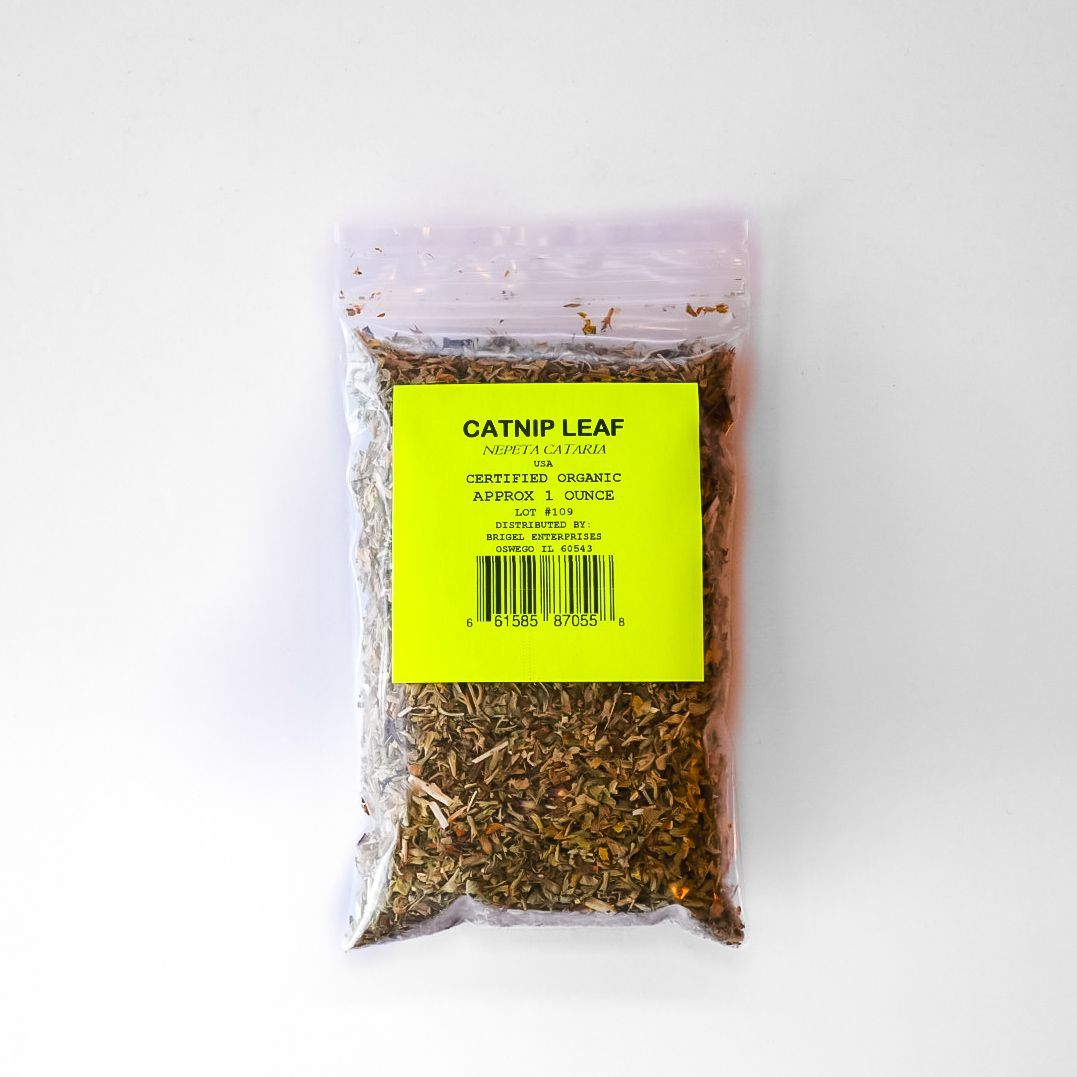 Plastic bag of dried catnip with a bright yellow label on a white background
