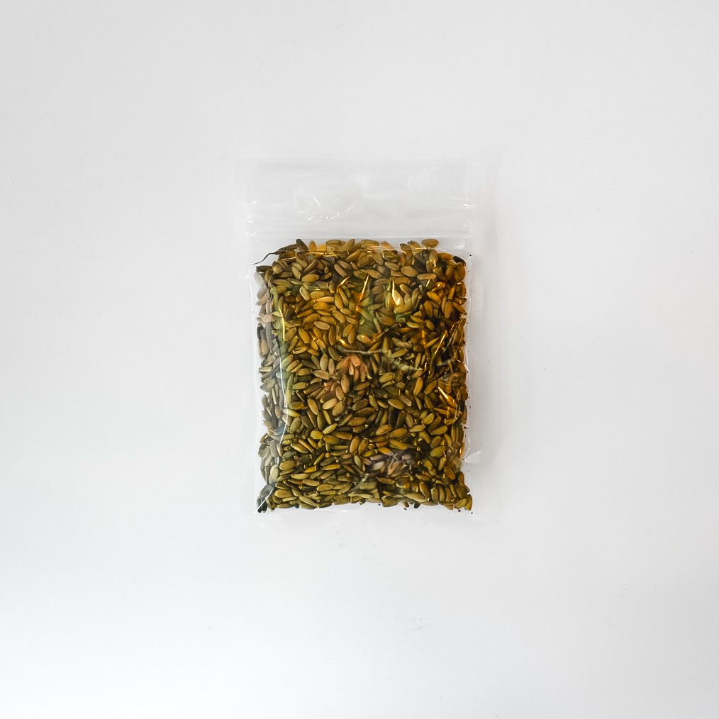 Clear plastic bag of yellow and brown milk thistle seeds with bright yellow label on a white background
