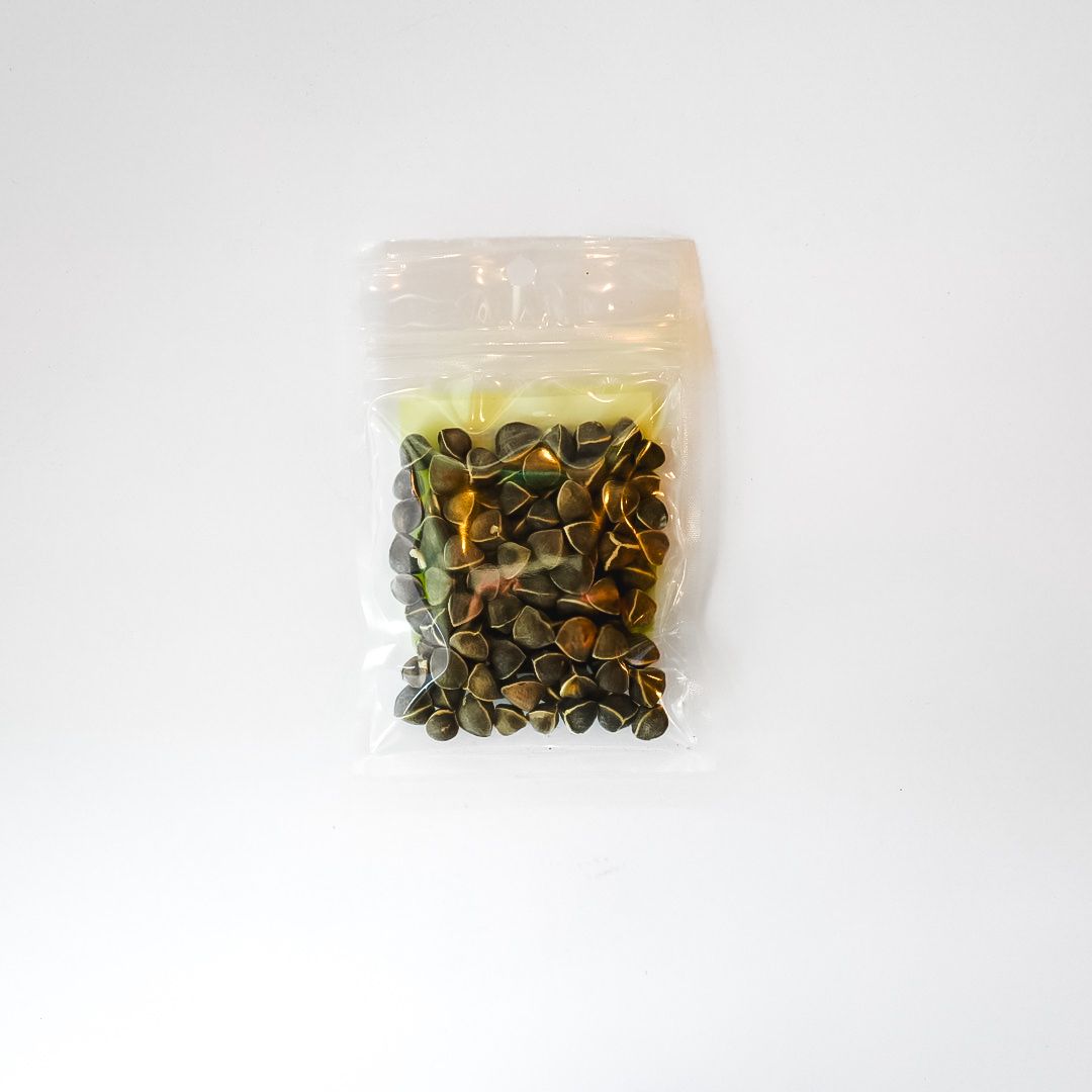 Small clear packet of moringa seeds with a bright yellow label on a white background