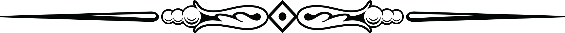 Ornamental horizontal line with stylized floral elements and geometric shapes.