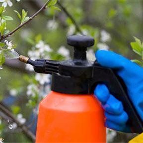 FUMITRON - control de cucarachas y termitas