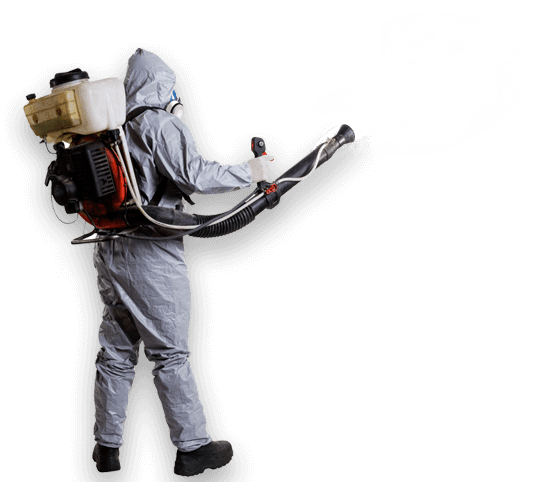 FUMITRON - control de plagas