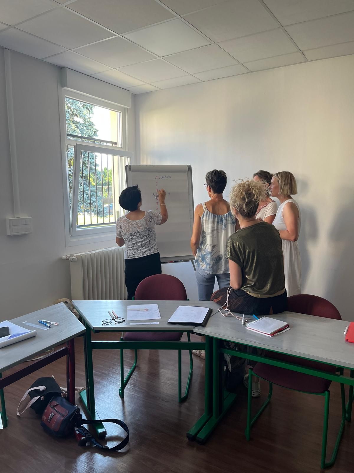 Une infographie intitulée « Les objectifs du ResCLAN » présentant des professionnels de la santé et des icônes pour la collaboration et la formation.