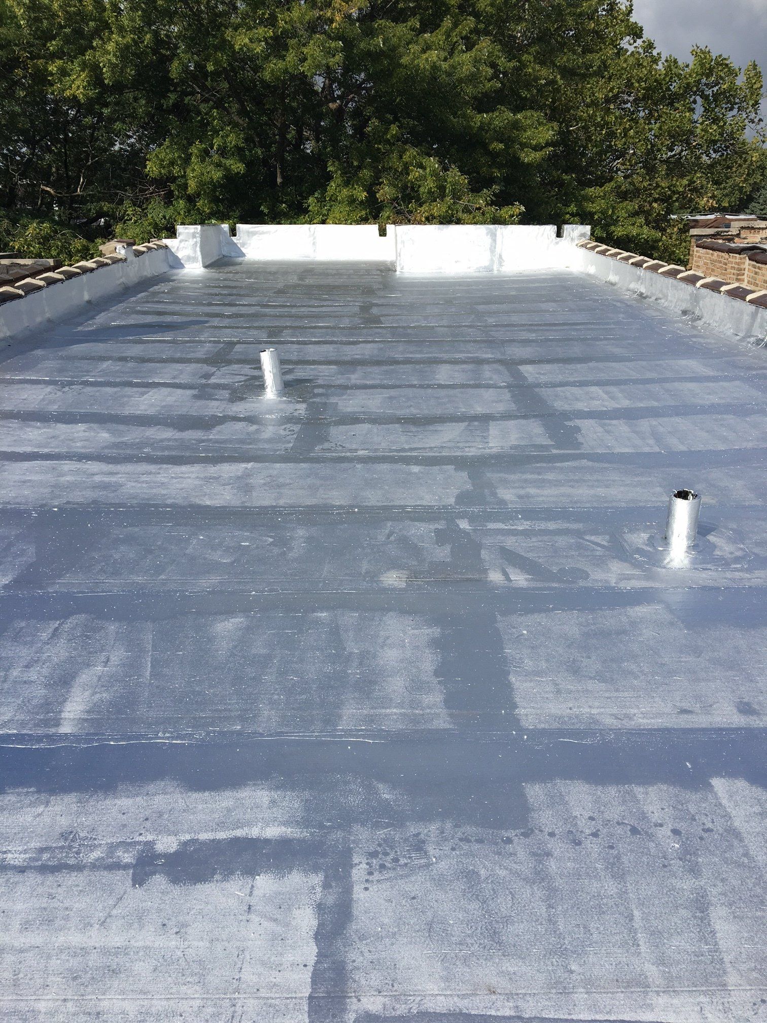 The roof of a building with trees in the background