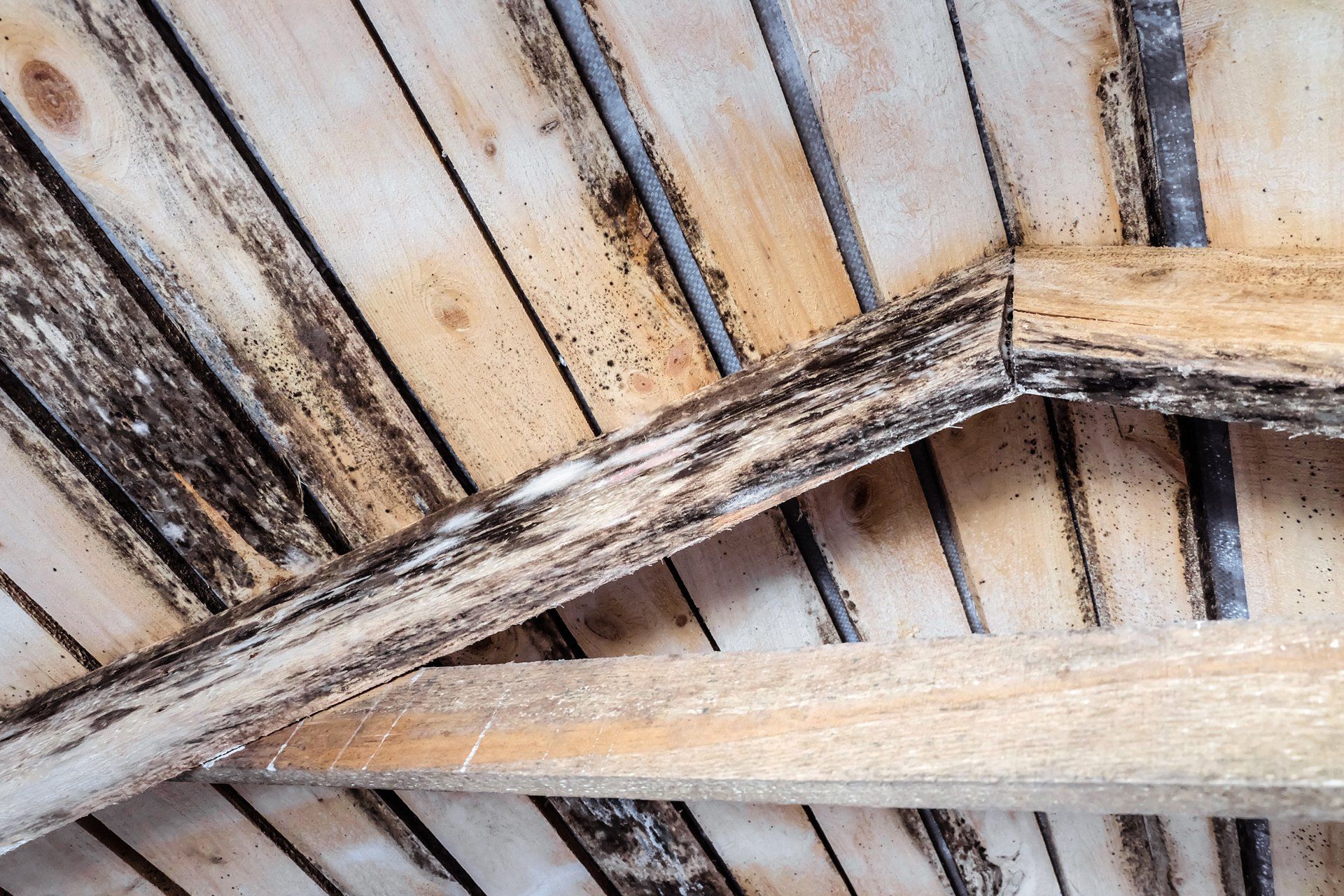 A close up of a wooden ceiling with a few pieces of wood missing.