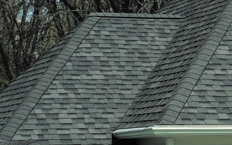 A close up of a roof with a gutter and trees in the background.
