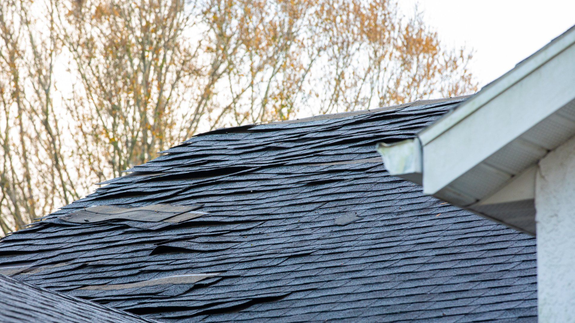 A roof with a lot of shingles missing and a tree in the background.