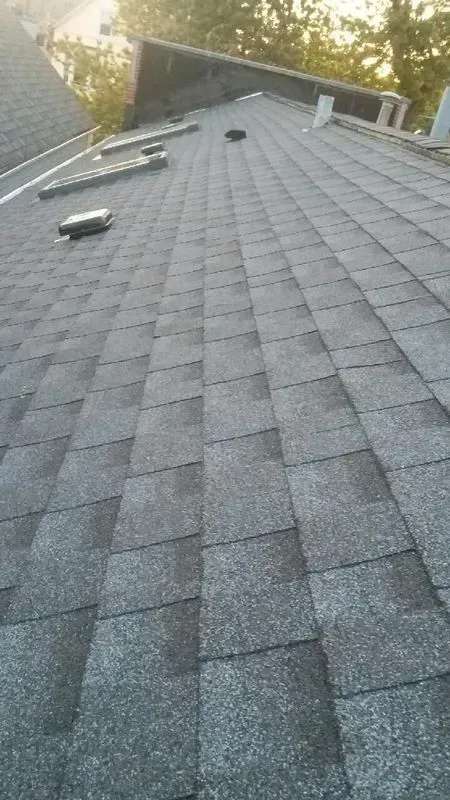 Gallery. Gray asphalt shingle roof, angled view. Several vents and other roof features are visible.