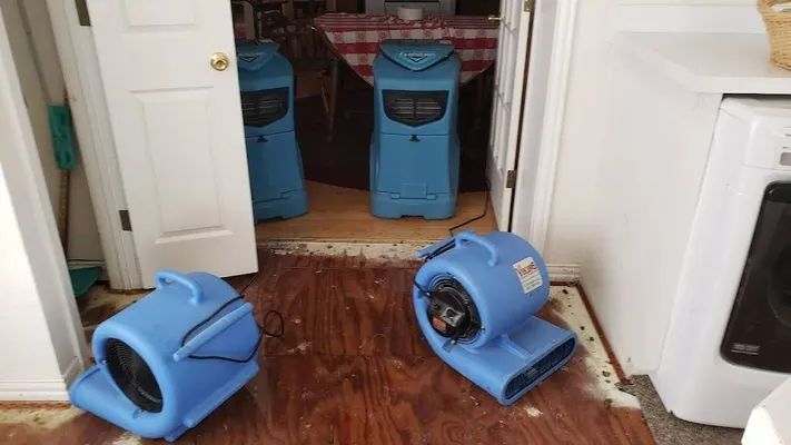 Three blue air movers on a hardwood floor in a doorway, with one on its side and two standing in the room beyond