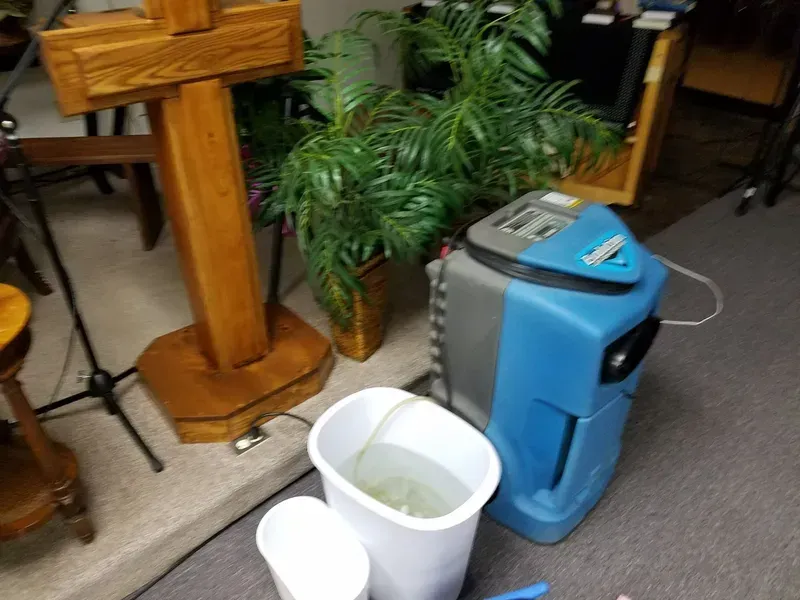Two white buckets beside a blue wet/dry vacuum near a wooden lectern and potted plant.