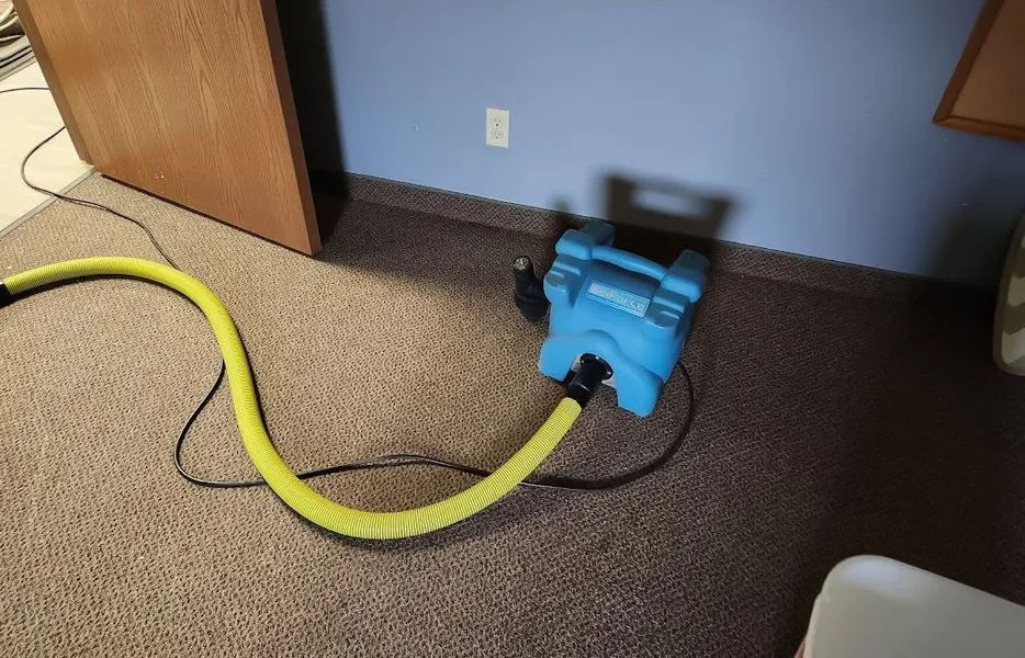 Blue carpet cleaner with yellow hose on office carpet near a wooden cabinet and wall outlet