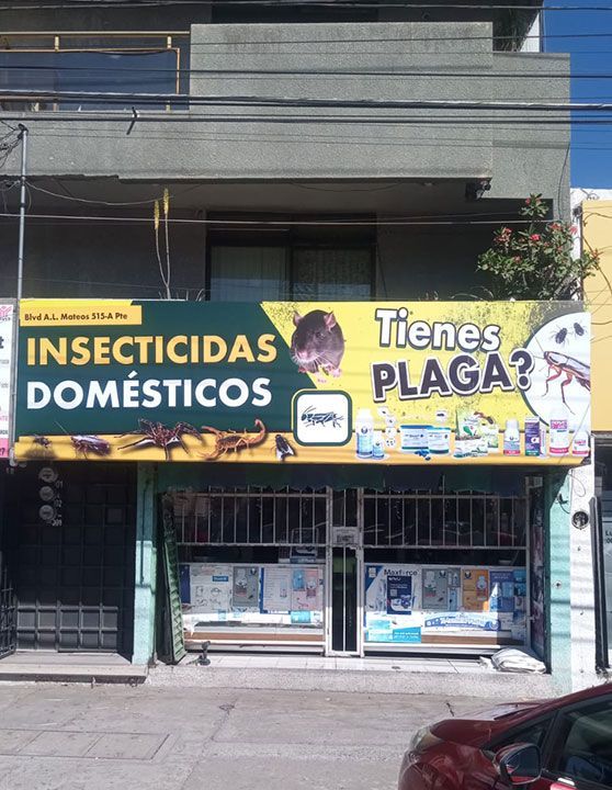 GRÁFICA SIETE