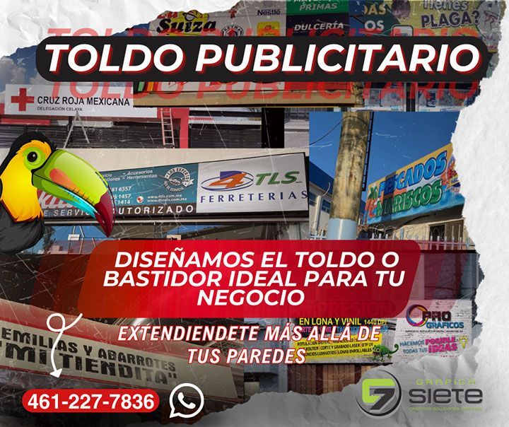 GRÁFICA SIETE