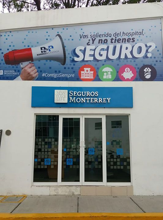 GRÁFICA SIETE
